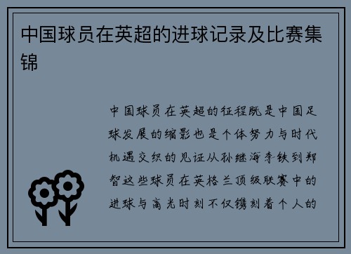 中国球员在英超的进球记录及比赛集锦