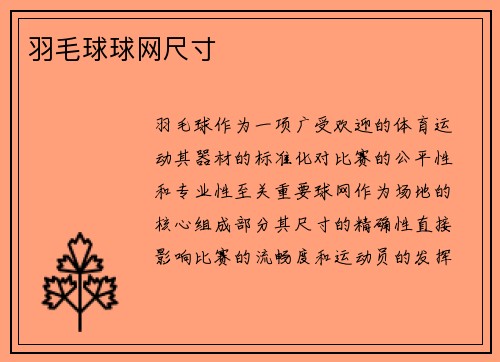 羽毛球球网尺寸